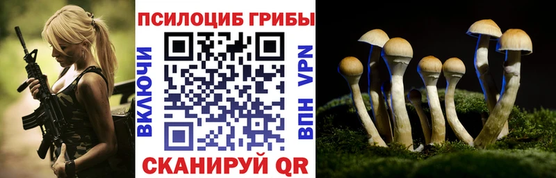 Купить  Котовск  Псилоцибиновые грибы Magic Shrooms 